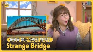 잠자기 전 읽어주는 베드타임 스토리 영어 스토리 타임 Day 160. Strange Bridge (EBS X Collins EBS ELT 초등 영어)