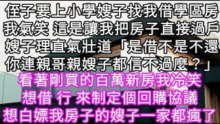 侄子要上小學嫂子找我借學區房我氣笑 這是讓我把房子直接過戶嫂子理直氣壯道「是借不是不還你連親哥親嫂子都信不過麼？」 #心書時光 #為人處事 #生活經驗 #情感故事 #唯美频道 #爽文