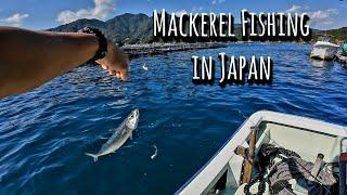 Mackerel Fishing in Japan Using Krill as Bait