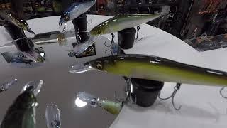 Vision Oneten Entrada Spanish Lures