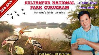 Sultanpur national park gurugram haryana- Now open | Tickets, timings & all other information