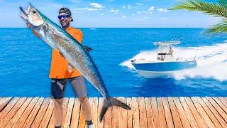 48 Hours Chasing Every Fish In Florida! Catch Clean & Cook