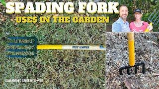  Spading Fork Uses In the Garden - QG Day 152 