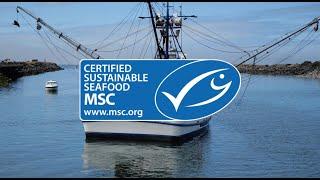 Marine Stewardship Council (MSC) - Explained