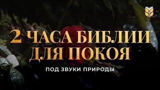 2 часа Библии для покоя под звуки природы. Современный перевод Библии #biblevision