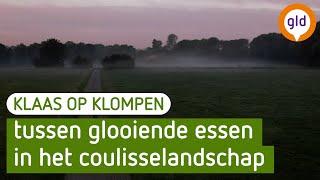 Klaas op Klompen - Achterwooldsepad in 't Woold