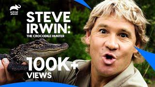 The Best of Steve Irwin - The Crocodile Hunter | Best Moments | Animal Planet