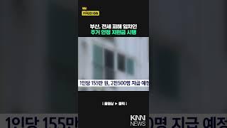 부산시, 전세 피해 임차인 주거 안정 지원금 조기 시행 / KNN