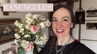 GROWING Ranunculus Made EASY!