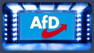 Das Wahlprogramm der AfD erklärt | Bundestagswahl 2025