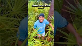 Looking for the short friend #shorts #funny #comedy