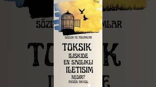 Toksik İlişkide En Sağlıklı İletişim Nedir? #felsefe #psikoloji #music #vivaldi