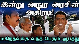 அநுர அரசின் அதிரடி கைது | கடும் ஆபத்தில் ராஜபக்சக்கள் | #anurakumaradissanayake #arugambay #akd