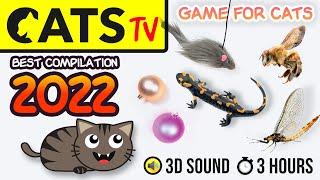 GAME FOR CATS - BEST 2023 Cats TV compilation 🪩 [60fps] 3 HOURS