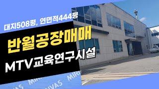 반월공장매매, MTV, 성곡동공장매매, 시화공단부동산