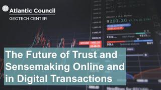 The Future of Trust and Sensemaking Online and in Digital Transactions