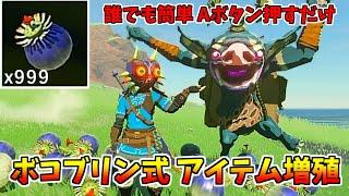 【ティアキン】ボコブリン増殖でバクダン花を大量ゲット！【ゼルダの伝説 ティアーズ オブ ザ キングダム】