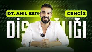 Diş Sağlığı ile İlgili Merak Edilenler - Dt. Anıl Berker Cengiz