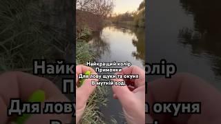 Кращий колір для щуки та судака і окуня в мутній воді. Спінінгова риболовля