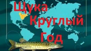 Диалоги о рыбалке. Ужение щуки круглый год