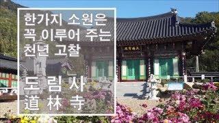 (전국유명사찰) 한 가지 소원은 꼭 들어주는 천년 고찰 도림사