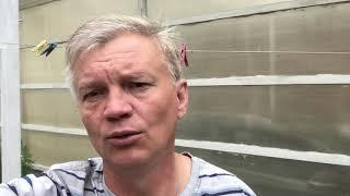 Прогноз на матч чемпионата Европы, Дания-Финляндия.