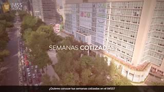 Conoce tus Semanas Cotizadas en el IMSS