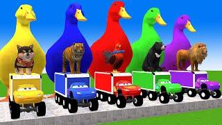 5 Giant Duck Cartoon,Cow,Chicken,Puppy,Bear,Tiger Paint Wild Animals Crossing Fountain Animation