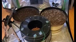 How I Grow! -S1E1- Setup, Germination, and Planting