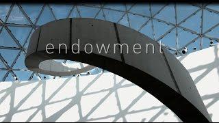 The Dalí Museum: Endowment