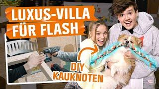 LUXUS-VILLA für FLASH! Wir bauen eine DIY-XXL-HUNDEHÜTTE! | MACH MAL mit OBI