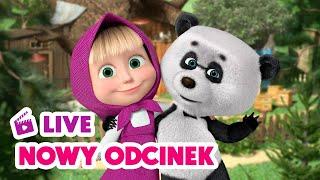  NA ŻYWO  Nowy odcinek  Pudło zabawy  Masza i Niedźwiedź  Masha and the Bear