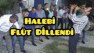 FLÜT DİLLENDİ  MUHTEŞEM HALEBİ HALAY 