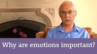 Why are emotions important?