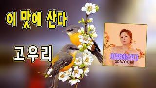 이 맛에 산다 / 고우리 [가수 고우리 2023 신곡]