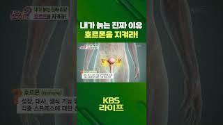 내가 늙는 진짜 이유‍호르몬을 지켜라️ [무엇이든 물어보세요] | KBS 방송