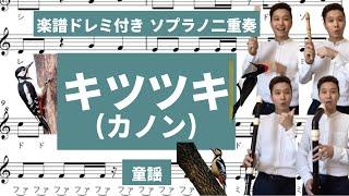 [ リコーダー演奏 ・多重録音・ソプラノリコーダー二重唱　楽譜ドレミ付き] 「キツツキ(カノン)」　童謡（ フルート ・ バイオリン ） コダリコダ