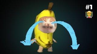 CATLANDO SCHOOL COMPILATION #1  #bananacat #happycat #compilation