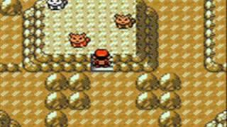 Pokemon Silver - Catching the Legendary Dogs