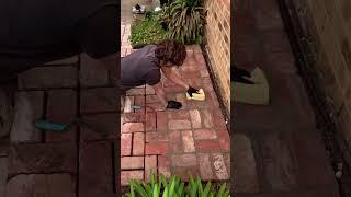 Grouting brick paving.  #landscaping #diy