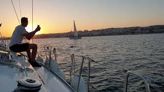 Lisbon Sunset boat tour with dolphins by Pypas Cruises