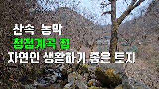 363번. 산으로 둘러싸이고 청정계곡 길게 접 호두나무 식재 농막 설치 전기 들어옴. 영동군 양강면