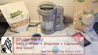 DIY Oat Milk #2: Oats + Water + Enzymes + Cashews + Salter. Any Good? Red Nemesis Dog Diaries #267