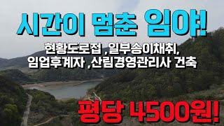 급매 임야매매 평당4500원 임업후계자등록가능 산림경영허가 관리사건축가능 현황도로접 일부 송이채취지역 13680평 청송IC10분 세상사는 부동산