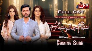 Na Tum Jano Na Hum | Soulful OST | Ravisha Khan - Hamza Khan  | Mun TV Pakistan