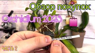 Обзор моих покупок на Осеннем Orchidium 2023 || Выставка орхидей в Москве ||Такого я не видел еще 