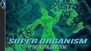 Your Microbiome Explained - Optimize for Brain, Body, and Health