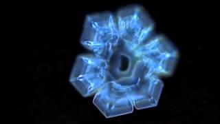 Masaru Emoto's Experiment in Gratitude