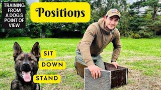 Sit, Down, Stand - How To Training Positions for Dogsports *ReUp*