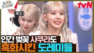 놀토에 완벽 적응한 사쿠라ㅋㅋㅋ 노 배려 도레미에 결국 흑화...?#놀라운토요일 | amazingsaturday EP.309 | tvN 240406 방송